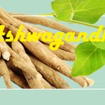 What is Ashwagandha