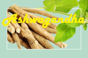 What is Ashwagandha