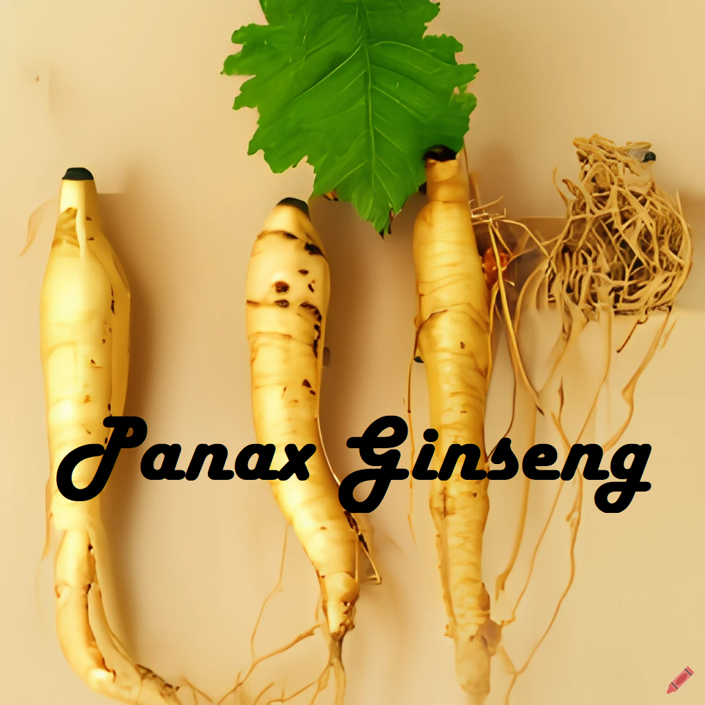 Panax Ginseng