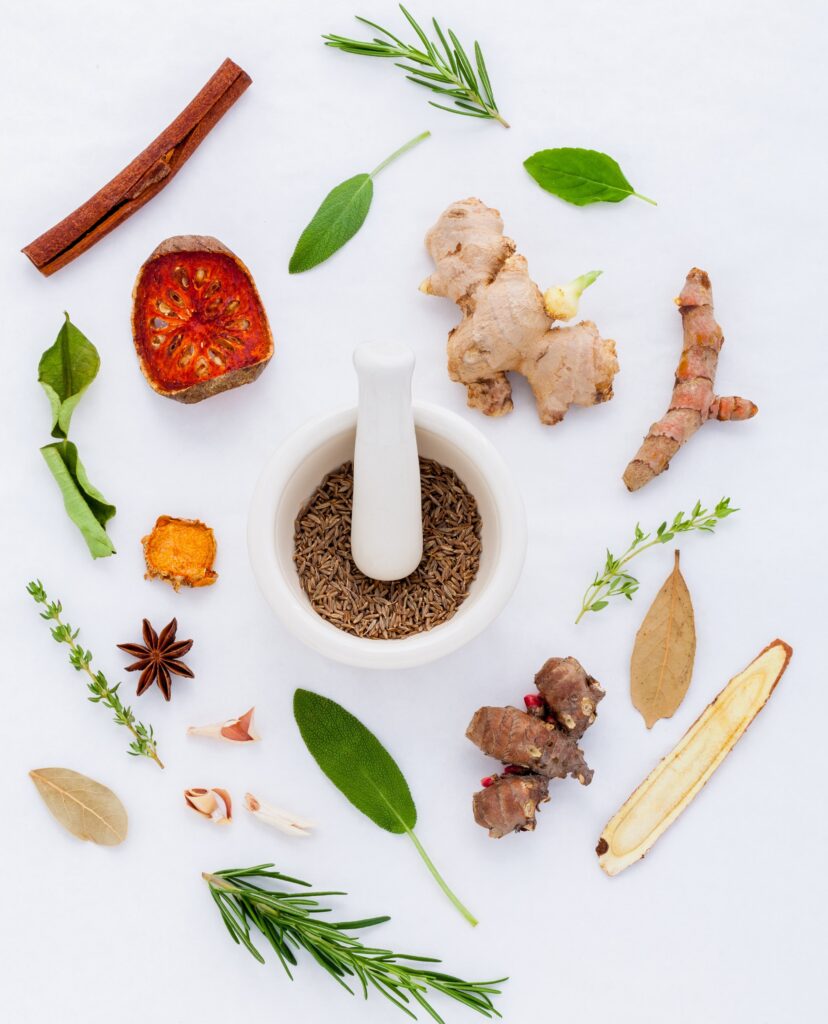 adaptogens uses and benefits