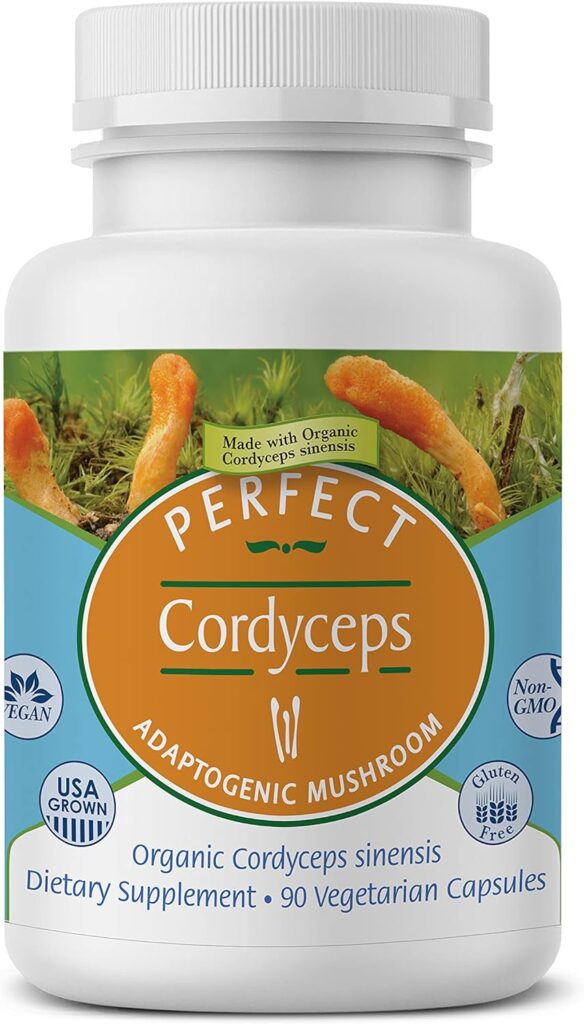 Excellent Dietary supplements – Excellent Cordyceps – 90 Vegetable Capsules – Natural Adaptogenic Natural Complement – Will increase Power, Endurance & Energy
